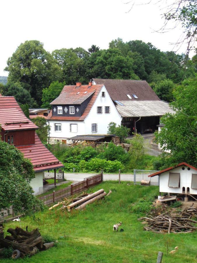 Ferienwohnung Wilhelm Springstille エクステリア 写真